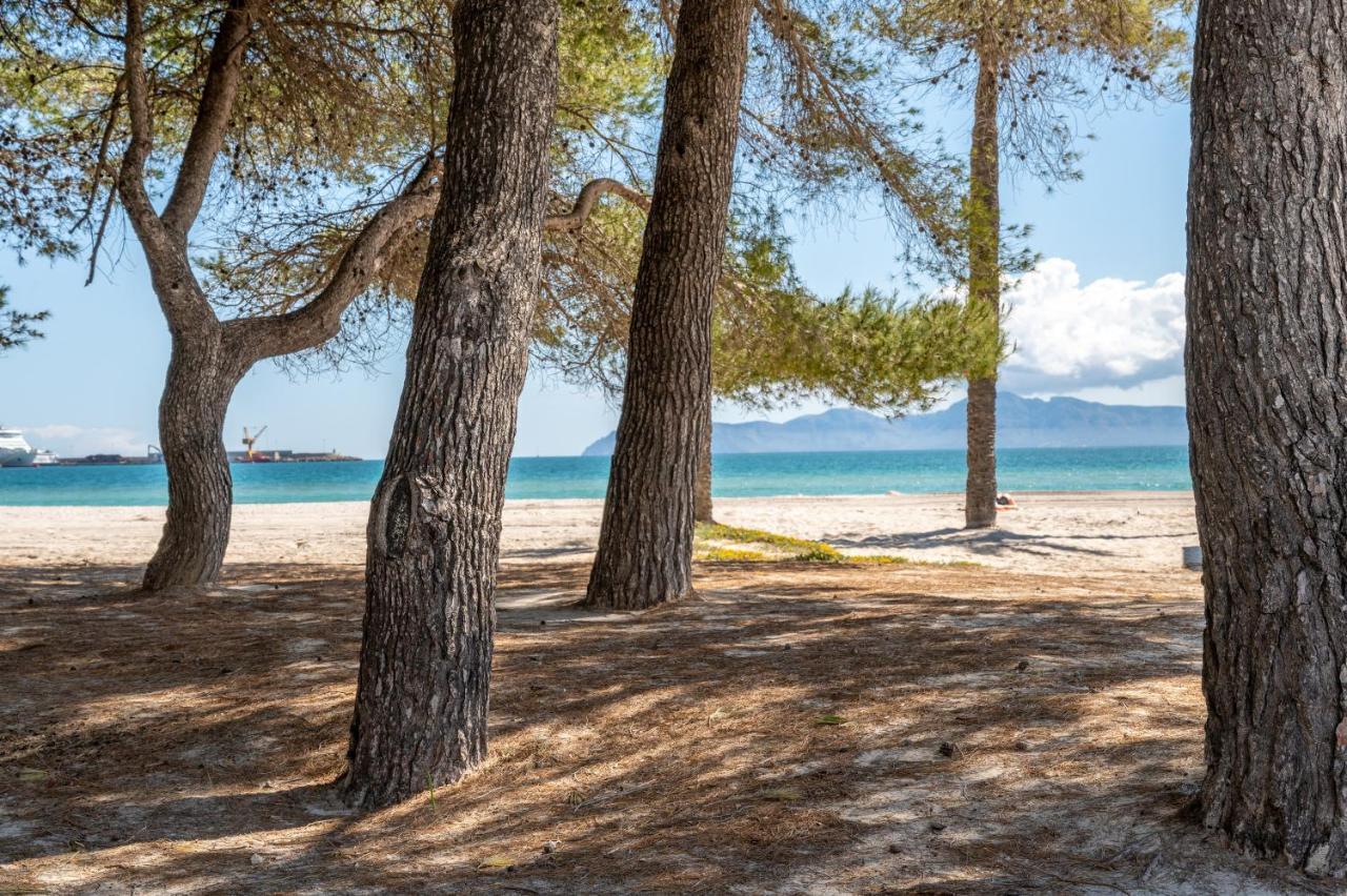 Villa Mercuri Alcúdia Eksteriør bilde